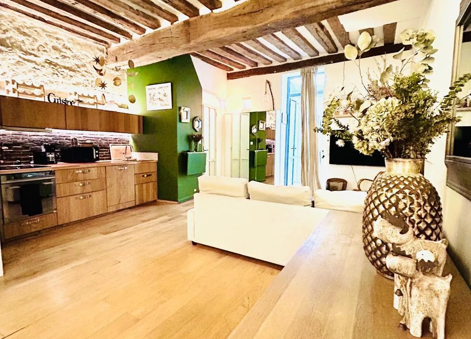 Splendid Atypical Loft St Germain Paris
